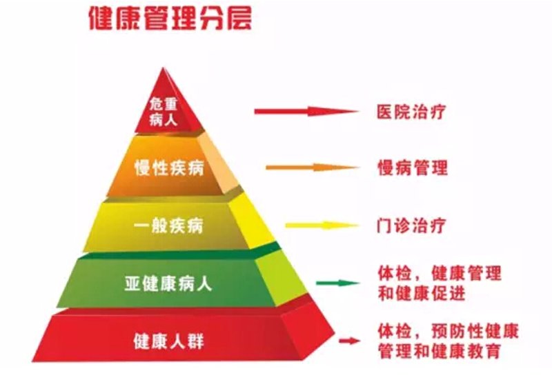养生保健指南:如何在日常生活中打造健康体魄